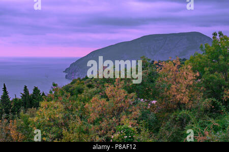 autumn yellowing trees and shrubs against the background of a huge rocky cliff enveloped in a foggy haze, facing the sea, against a cloudy sky. place  Stock Photo