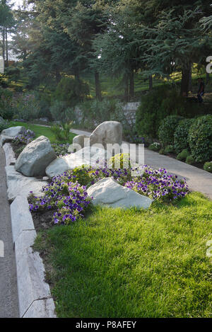 flower bed with stones and blue petunia along the pedestrian walkway in the park . For your design Stock Photo