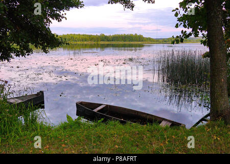 Old wooden boats at the shore of a small transparent lake against a background of deciduous forest . For your design Stock Photo