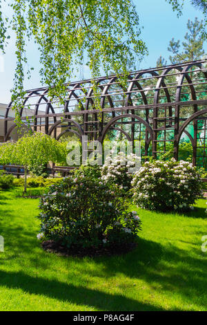 Luxury fresh white bushes of white flowers in a park on an emerald green grass growing in the shade of a tree. . For your design Stock Photo
