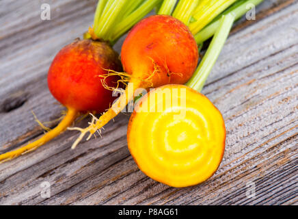 golden beets freshly harvested  raw on rustic wood background Stock Photo