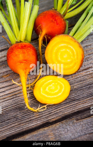 golden beets freshly harvested  raw on rustic wood background Stock Photo