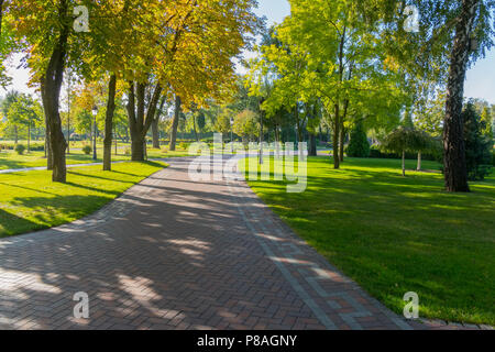 A wide alley in the park is paved with tiles with green lawns and trees with yellowing foliage on a bright sunny afternoon. . For your design Stock Photo