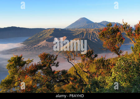 Mount Bromo is an active volcano in East Java, Indonesia. The massif area is one of the most visited tourist attraction to see beautiful foggy sunrise Stock Photo
