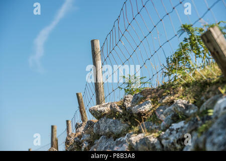 dry stone wall Bodmin Moor Stock Photo