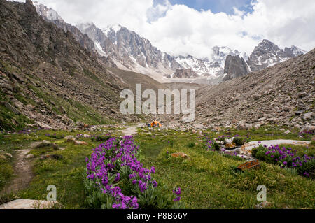 view of meadow with stones and flowers against footpath on foot of rocks, Ala Archa National Park, Kyrgyzstan Stock Photo