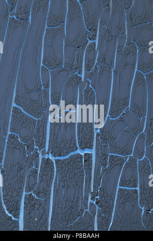Cracked plastic film surface abstract grunge blue background. Stock Photo
