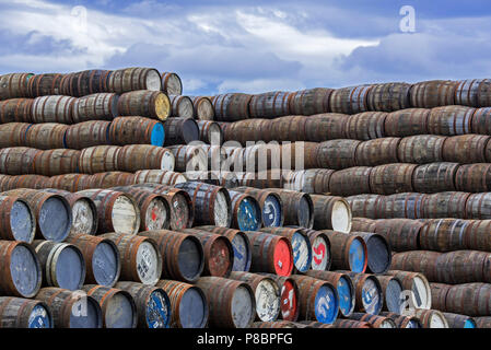 Huge stacks of discarded whisky casks / barrels at Speyside Cooperage, Craigellachie, Aberlour, Banffshire, Grampian, Scotland, UK Stock Photo