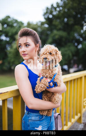 Portrait of beautiful smiling young woman with her little red poodle puppy. Stock Photo