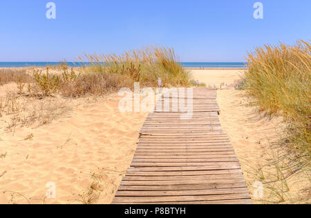 wooden track path leading through soft golden sand and beach grass toward the blue sky and ocean on Isla Canela beach, Ayamonte, Andalucia, Spain Stock Photo