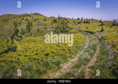 Hills on a Polish-Ukraine border on Bukowska mountain pass in Western Bieszczady Mountains in Poland Stock Photo