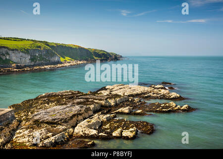 UK, Northern Ireland, Co Antrim, Islandmagee, Portmuck rocky shore Stock Photo