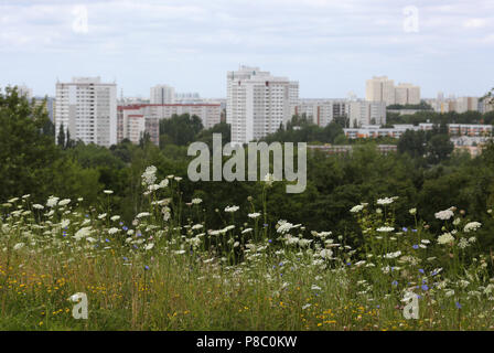 Berlin, Germany, flower meadow in front of a prefabricated housing estate in Berlin-Marzahn Stock Photo