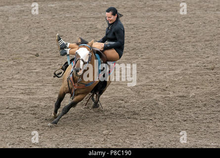 Gestuet Ganschow, chart, trick riding in full gallop Stock Photo