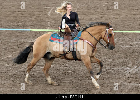 Gestuet Ganschow, chart, trick riding in full gallop Stock Photo