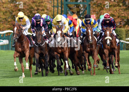 Chantilly, France, horses and jockeys during a gallop race Stock Photo