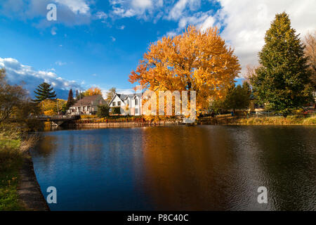 Autumn colors around Yamaska estuary at Lake Boivin in Granby,Eastern Townships, Quebec, Canada. Rue de la Gare and bridge in the background. Stock Photo