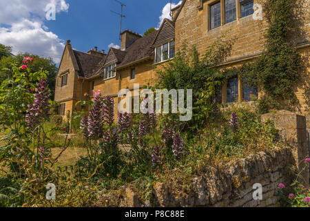 Cottage garden in Overbury, Worcestershire Stock Photo