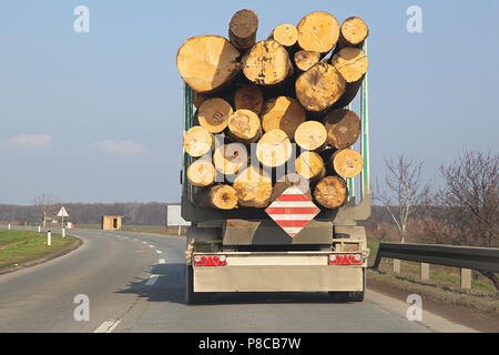 Timber lorry carry wooden logs at road Stock Photo