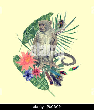 Watercolor hand drawn illustration with monkey, leaves, flowers, feathers. Stock Photo