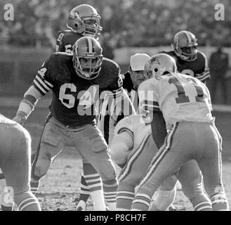 Dallas Cowboys quarterback Danny White (11) looks down field for a receiver  during fourth quarter action against the Miami Dolphins at Texas Stadium,  Oct. 26, 1981. White threw two touchdown passes in