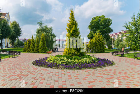 Circle of flower bed in the pit among the tiled area. In the flowerbed there is a tall bush in the middle and blue flowers along the perimeter . For y Stock Photo