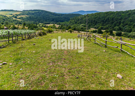 A green slope overgrown with low grass and studded with stones, with rural orchards along the sides, with fenced poles in a beautiful mountainous area Stock Photo