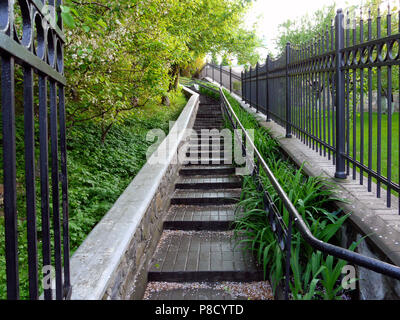 A staircase leading to the top with iron rails. A grating fence on one side and branches of green trees on the other. . For your design Stock Photo