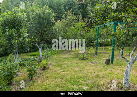 Green fruit trees growing in a garden among bushes and a trimmed lawn with beautiful scenic nature around. . For your design Stock Photo