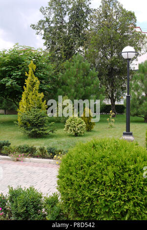 A spacious park alley lined with tiles, with decorative flower beds, lush green bushes and small spruce trees . For your design Stock Photo