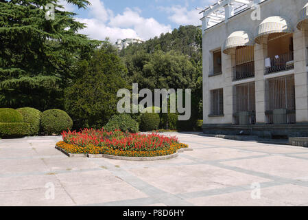 a flower bed on a background of a building, round decorative bushes and firs . For your design Stock Photo
