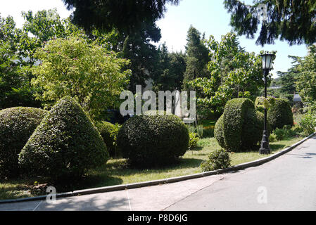 Design bushes in the park trimmed in the form of various geometric shapes growing along the path . For your design Stock Photo
