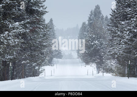 Highway 89 as it passes through Jackson Hole covered in snow from a winter storm. Grand Teton National Park, Wyoming Stock Photo