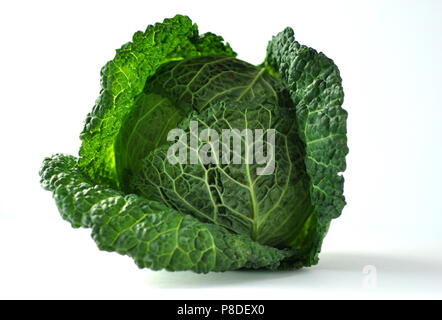 Beauty of a Savoy cabbage head. Front view of a beautiful fresh green cabbage head, isolated on white with copy space. Stock Photo