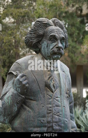 A statue of Albert Einstein by sculptor Georgy Frangulyan at Hebrew University, which he helped establish. Stock Photo