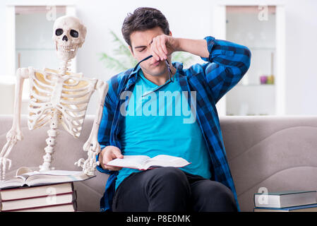 Student studying with skeleton preparing for exams Stock Photo