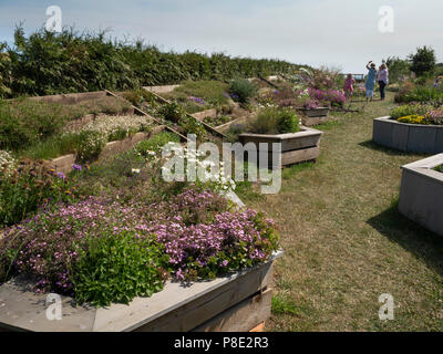 Chain Bridge Honey Farm, Horncliffe, Berwick-upon-Tweed. The beekeeper's garden, a walk with flower beds. Stock Photo