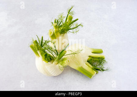Closeup of three whole fennel bulbs with fronds on professional light grey  DIY background with pattern. Stock Photo