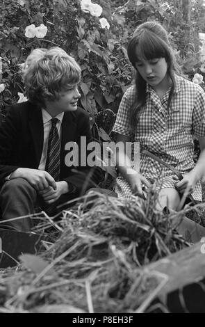 Melody (1971) Mark Lester, Tracy Hyde,     Date: 1971 Stock Photo
