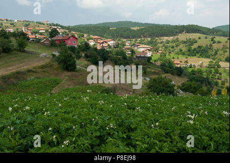 Rural Life In The Bulgarian Countryside Stock Photo - Alamy