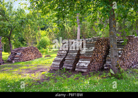 Rows choplennyh for heating in winter trees are stacked in the garden in the summer Stock Photo