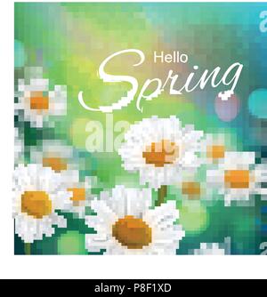 Stock vector illustration Hello, Hi Spring. Realistic chamomiles, blurred defocused background. Macro flowers. Green bokeh. Templates for placards, ba Stock Vector