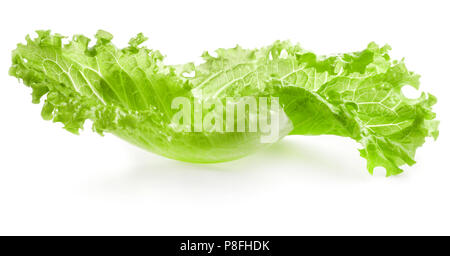 Lettuce isolated on white background Stock Photo
