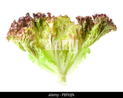 Lettuce isolated on white background Stock Photo