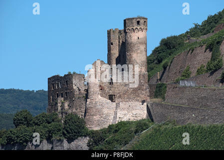 Ehrenfels castle ruins on the Rhine near Rüdesheim opposite Bingen on the Rhine river, Hesse, Germany. Stock Photo