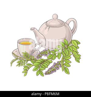 licorice herbal tea illustration on white background Stock Vector