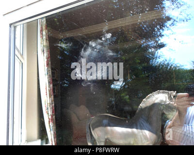 Shape of bird who died when flying into house window, sadly leaving its impression on the glass Stock Photo