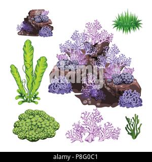The set of algae, corals and underwater rocks isolated on white background. Vector cartoon close-up illustration. Stock Vector