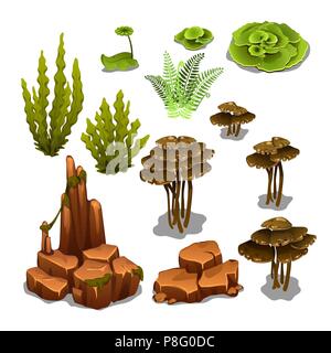 The set of algae and underwater rocks isolated on white background. Vector illustration. Stock Vector