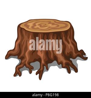 Old stump of a tree with roots isolated on white background. Vector illustration. Stock Vector